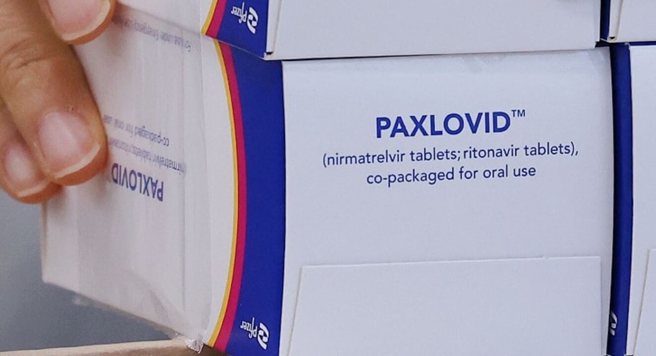 Fransa, koronavirüs için Paxlovid hapını kullanıma sunuyor!