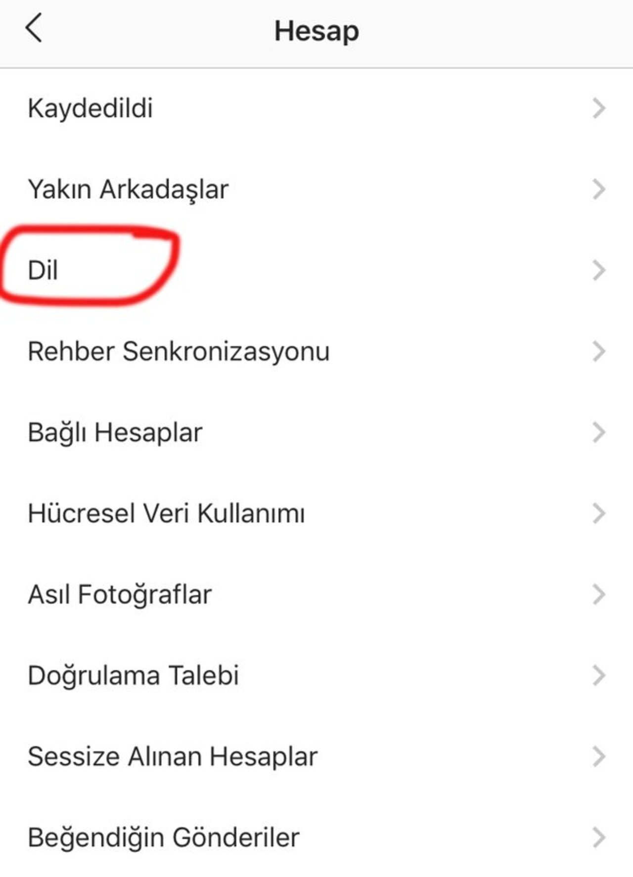 Instagram dil değiştirme nasıl yapılmaktadır?