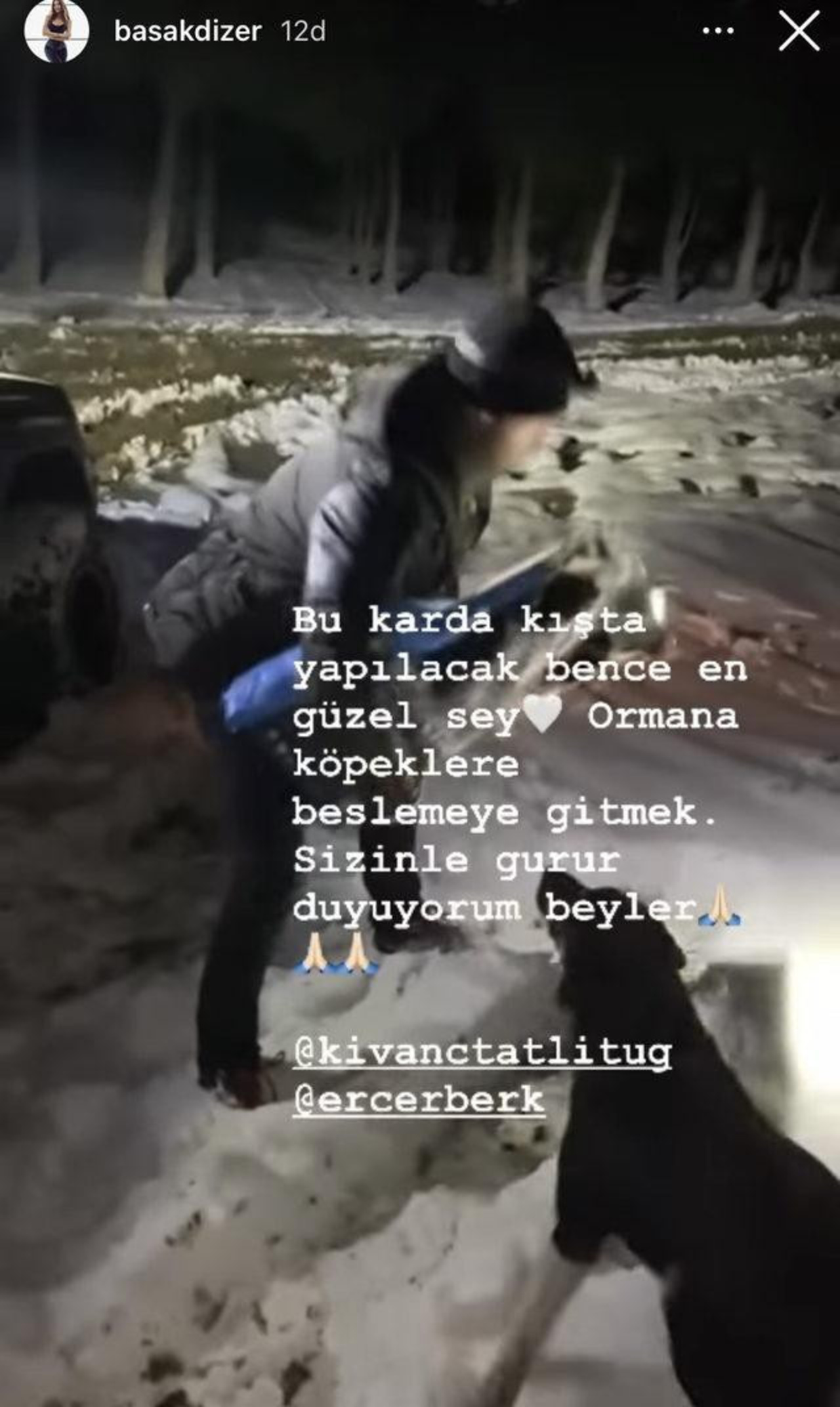 Kıvanç Tatlıtuğ, soğuk hava demedi sokak hayvanlarının yanına koştu!