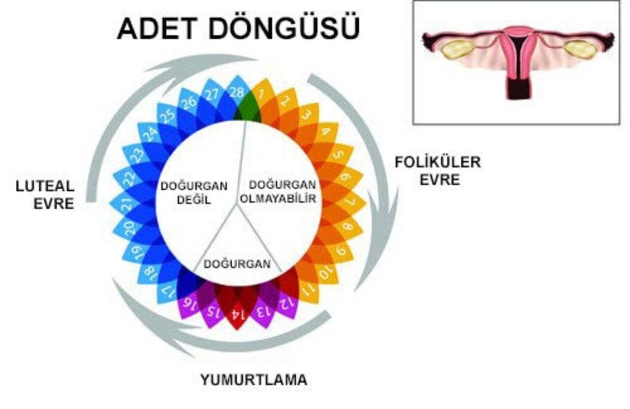 Reglinin düzensiz olması ne demektir? Regl düzensizliği nasıl tedavi edilmektedir?