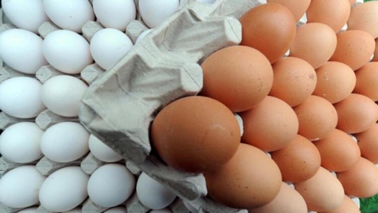 Düşmeyen yumurta fiyatları için müfettiş görevlendirildi