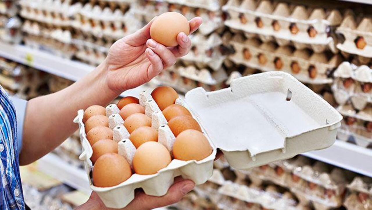 Düşmeyen yumurta fiyatları için müfettiş görevlendirildi