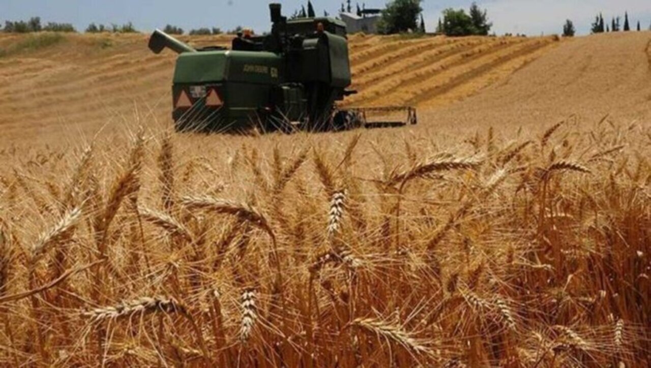 Tarımsal destek ödemeleri hesaplara yatırılmaya başlandı!