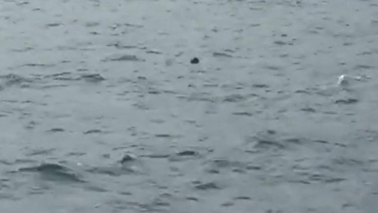 Rusya Uyardı! Karadeniz’den Sürüklenerek Gelen Mayınlar Daha Çok Görülebilir