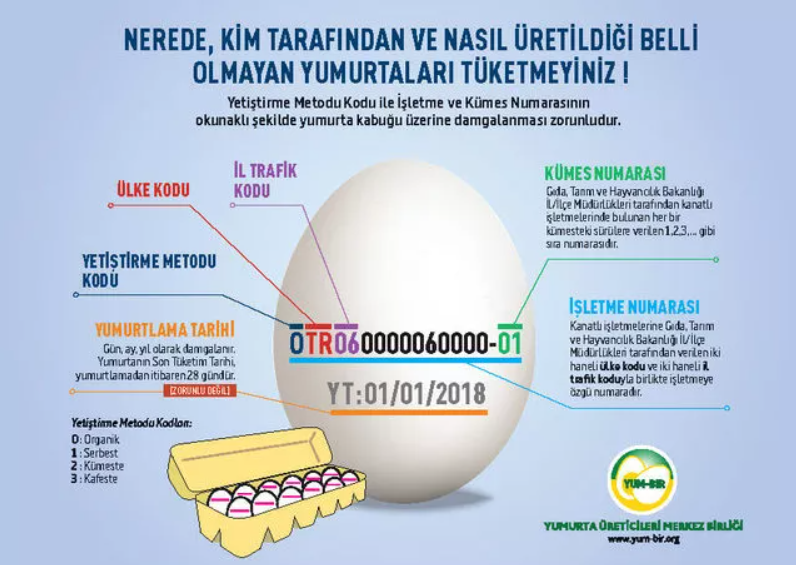 Yumurta Üzerine Yazılmış Sayılardan Birçok Detayı Öğrenebilirsiniz! Yumurtaların Üzerindeki Sayılar Neyi İfade Ediyor?
